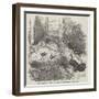 Nest of the Brush Turkey, in the Zoological Society's Gardens, Regent'S-Park-Harrison William Weir-Framed Giclee Print