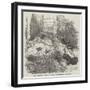 Nest of the Brush Turkey, in the Zoological Society's Gardens, Regent'S-Park-Harrison William Weir-Framed Giclee Print