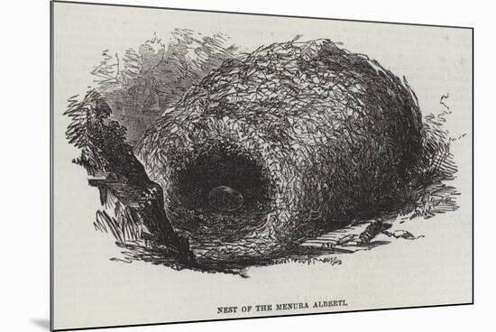 Nest of the Menura Alberti-null-Mounted Giclee Print