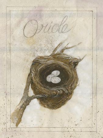 https://imgc.allpostersimages.com/img/posters/nest-oriole_u-L-Q1IBXXY0.jpg?artPerspective=n