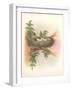 Nest with Spotted Eggs-null-Framed Art Print