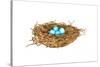 Nest-Wendy Edelson-Stretched Canvas