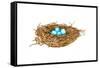 Nest-Wendy Edelson-Framed Stretched Canvas