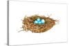 Nest-Wendy Edelson-Stretched Canvas