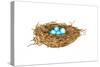 Nest-Wendy Edelson-Stretched Canvas