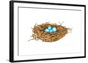 Nest-Wendy Edelson-Framed Premium Giclee Print