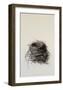 Nest-Kris Ekstrand-Framed Art Print