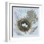 Nesting Collection I-Jade Reynolds-Framed Art Print