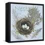 Nesting Collection I-Jade Reynolds-Framed Stretched Canvas