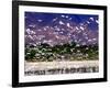 Nesting Egrets at Lago Enriquillo, Dominican Republic, Caribbean-Greg Johnston-Framed Photographic Print