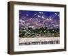 Nesting Egrets at Lago Enriquillo, Dominican Republic, Caribbean-Greg Johnston-Framed Photographic Print