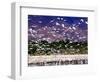 Nesting Egrets at Lago Enriquillo, Dominican Republic, Caribbean-Greg Johnston-Framed Photographic Print