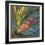 Nesting (formerly Nutria)-Rita Kirkman-Framed Art Print