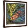 Nesting (formerly Nutria)-Rita Kirkman-Framed Art Print