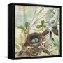 Nesting II-null-Framed Stretched Canvas