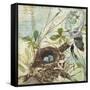 Nesting II-null-Framed Stretched Canvas