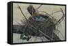 Nesting II-John Butler-Framed Stretched Canvas