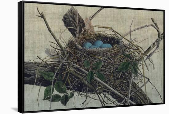 Nesting II-John Butler-Framed Stretched Canvas