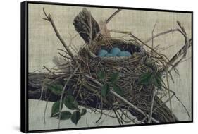 Nesting II-John Butler-Framed Stretched Canvas