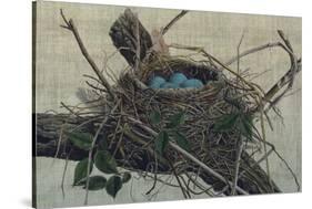 Nesting II-John Butler-Stretched Canvas