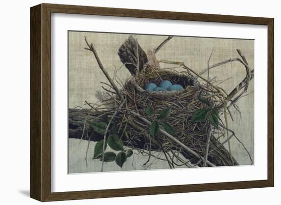 Nesting II-John Butler-Framed Art Print