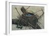 Nesting II-John Butler-Framed Art Print