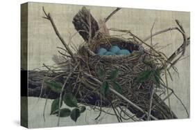 Nesting II-John Butler-Stretched Canvas