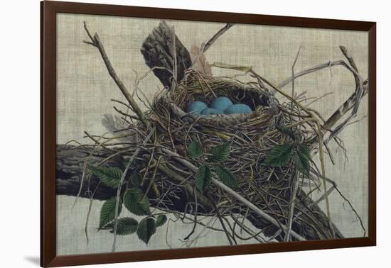 Nesting II-John Butler-Framed Art Print