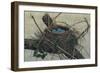 Nesting II-John Butler-Framed Premium Giclee Print