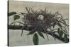 Nesting III-John Butler-Stretched Canvas