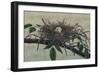 Nesting III-John Butler-Framed Premium Giclee Print