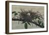 Nesting III-John Butler-Framed Art Print