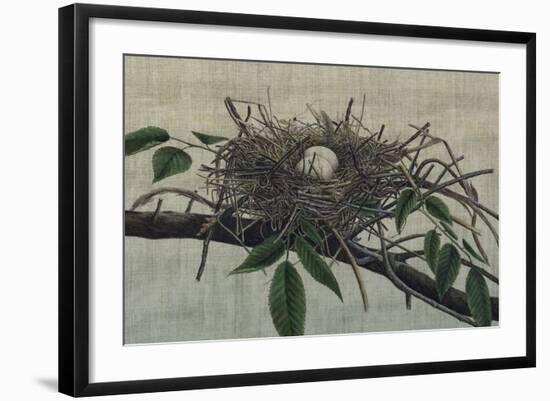 Nesting III-John Butler-Framed Art Print