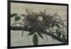 Nesting III-John Butler-Framed Art Print