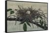 Nesting III-John Butler-Framed Stretched Canvas