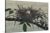 Nesting III-John Butler-Stretched Canvas