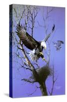 Nesting Place-Spencer Williams-Stretched Canvas