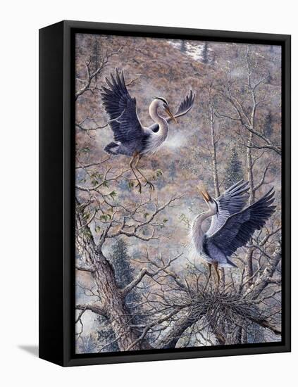 Nesting Time - Great Blue Herons-Jeff Tift-Framed Stretched Canvas