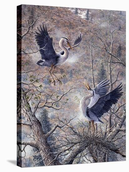 Nesting Time - Great Blue Herons-Jeff Tift-Stretched Canvas