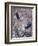 Nesting Time - Great Blue Herons-Jeff Tift-Framed Giclee Print