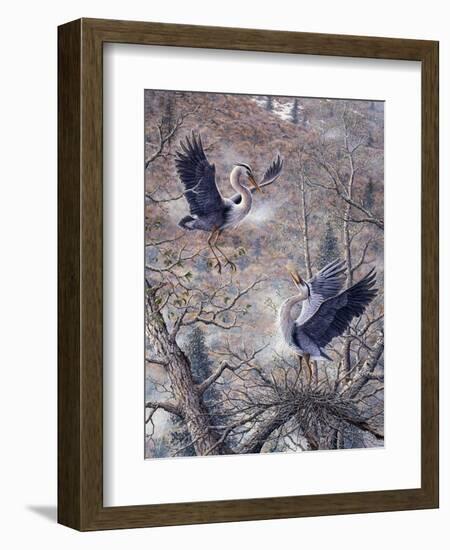 Nesting Time - Great Blue Herons-Jeff Tift-Framed Giclee Print