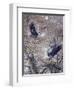 Nesting Time - Great Blue Herons-Jeff Tift-Framed Giclee Print