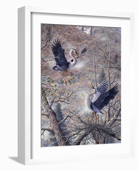 Nesting Time - Great Blue Herons-Jeff Tift-Framed Giclee Print