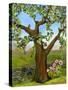 Nesting Tree-Blenda Tyvoll-Stretched Canvas