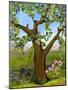 Nesting Tree-Blenda Tyvoll-Mounted Giclee Print