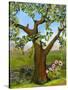 Nesting Tree-Blenda Tyvoll-Stretched Canvas
