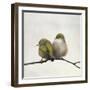 Nestle-Nathan Secker-Framed Giclee Print