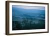 Nestled in I-Studio 2-Framed Photographic Print