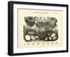 Nests and Eggs, C.1860-null-Framed Giclee Print