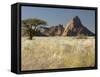 Nests of Weaverbirds, Spitskoppe Mountains, Damaraland, Namibia, Africa-Peter Groenendijk-Framed Stretched Canvas